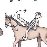 Школа верховой езды для начинающих Школа верховой езды для начинающих