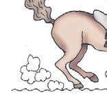 Школа верховой езды для начинающих Школа верховой езды для начинающих