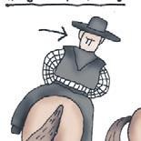 Школа верховой езды для начинающих Школа верховой езды для начинающих