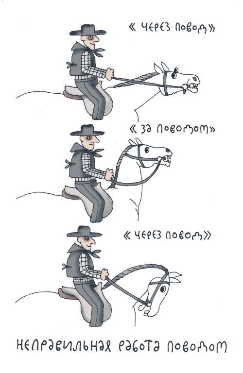 Школа верховой езды для начинающих Школа верховой езды для начинающих