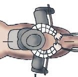 Школа верховой езды для начинающих Школа верховой езды для начинающих