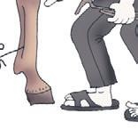 Школа верховой езды для начинающих Школа верховой езды для начинающих