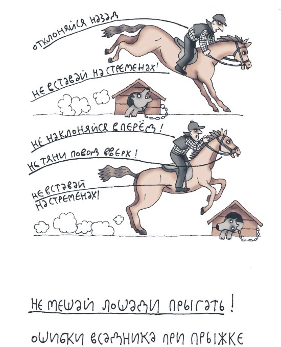 Школа верховой езды для начинающих Школа верховой езды для начинающих