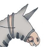 Школа верховой езды для начинающих Школа верховой езды для начинающих