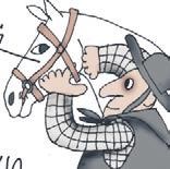 Школа верховой езды для начинающих Школа верховой езды для начинающих