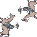 Школа верховой езды для начинающих Школа верховой езды для начинающих