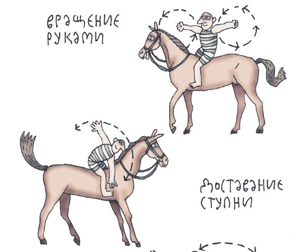 Школа верховой езды для начинающих Школа верховой езды для начинающих