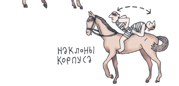 Школа верховой езды для начинающих Школа верховой езды для начинающих