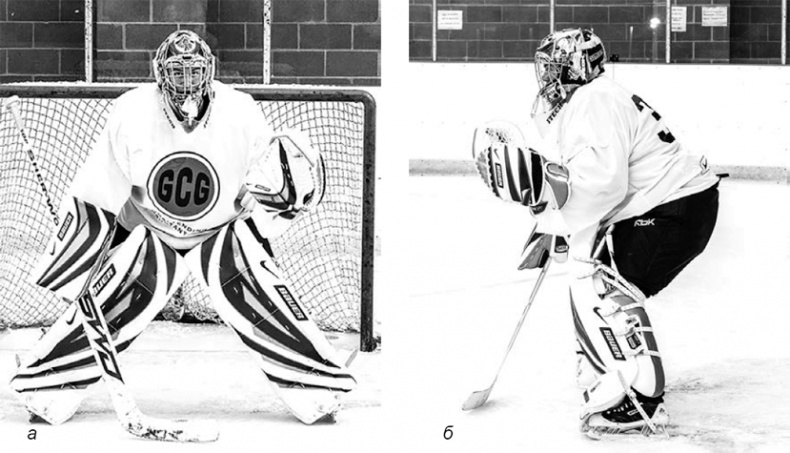 Библия хоккейного тренера. Тактика и стратегия от 16 хоккейных топ-тренеров США Библия хоккейного тренера. Тактика и стратегия от 16 хоккейных топ-тренеров США