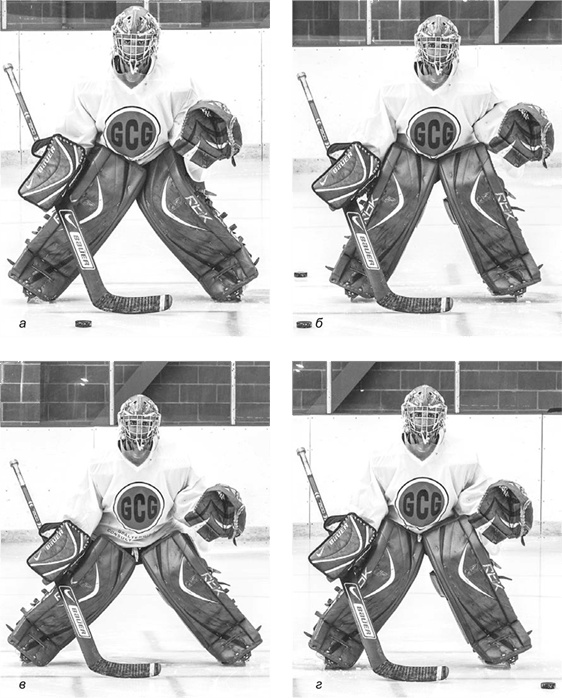 Библия хоккейного тренера. Тактика и стратегия от 16 хоккейных топ-тренеров США Библия хоккейного тренера. Тактика и стратегия от 16 хоккейных топ-тренеров США