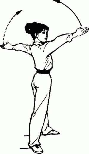 Боевая гимнастика. Упражнения китайского ушу для здоровья и самозащиты Боевая гимнастика. Упражнения китайского ушу для здоровья и самозащиты