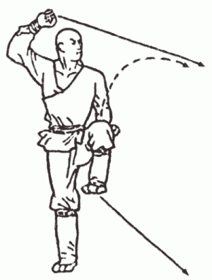 Боевая гимнастика. Упражнения китайского ушу для здоровья и самозащиты Боевая гимнастика. Упражнения китайского ушу для здоровья и самозащиты