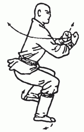 Боевая гимнастика. Упражнения китайского ушу для здоровья и самозащиты Боевая гимнастика. Упражнения китайского ушу для здоровья и самозащиты