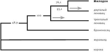 Неандерталец. В поисках исчезнувших геномов Неандерталец. В поисках исчезнувших геномов
