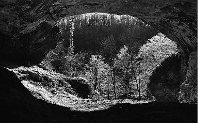 Неандерталец. В поисках исчезнувших геномов Неандерталец. В поисках исчезнувших геномов