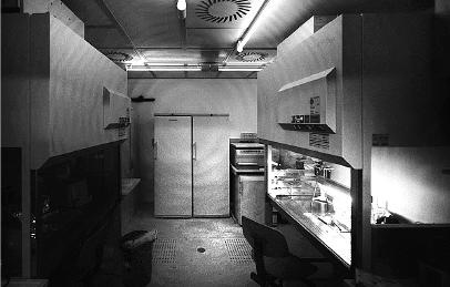 Неандерталец. В поисках исчезнувших геномов Неандерталец. В поисках исчезнувших геномов