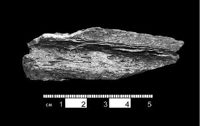 Неандерталец. В поисках исчезнувших геномов Неандерталец. В поисках исчезнувших геномов