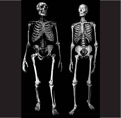 Неандерталец. В поисках исчезнувших геномов Неандерталец. В поисках исчезнувших геномов