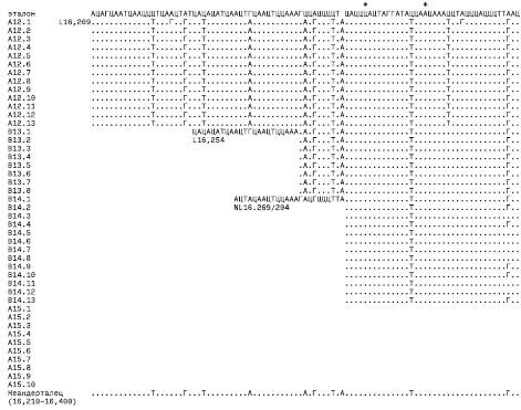 Неандерталец. В поисках исчезнувших геномов Неандерталец. В поисках исчезнувших геномов