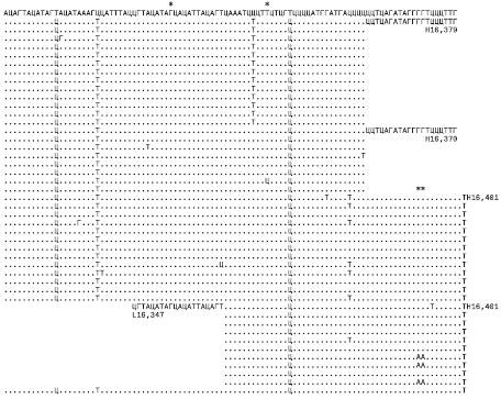 Неандерталец. В поисках исчезнувших геномов Неандерталец. В поисках исчезнувших геномов