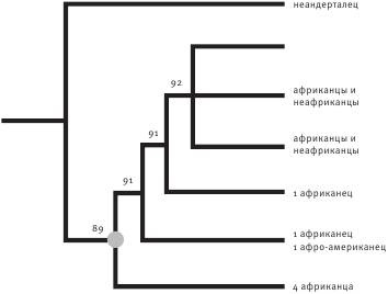 Неандерталец. В поисках исчезнувших геномов Неандерталец. В поисках исчезнувших геномов