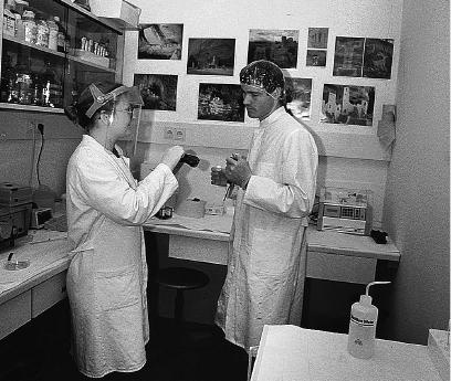 Неандерталец. В поисках исчезнувших геномов Неандерталец. В поисках исчезнувших геномов