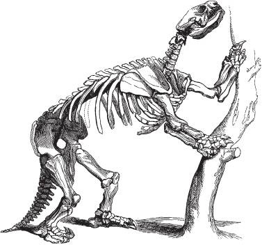 Неандерталец. В поисках исчезнувших геномов Неандерталец. В поисках исчезнувших геномов