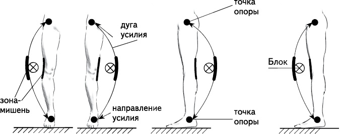Своды Славянской гимнастики Своды Славянской гимнастики