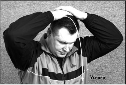 Своды Славянской гимнастики Своды Славянской гимнастики