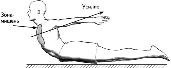 Своды Славянской гимнастики Своды Славянской гимнастики