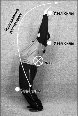 Своды Славянской гимнастики Своды Славянской гимнастики