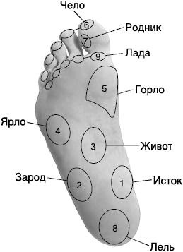 Своды Славянской гимнастики Своды Славянской гимнастики