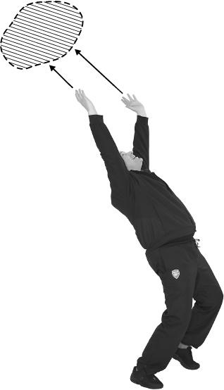 Своды Славянской гимнастики Своды Славянской гимнастики