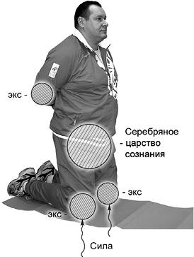 Своды Славянской гимнастики Своды Славянской гимнастики