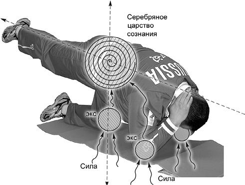 Своды Славянской гимнастики Своды Славянской гимнастики