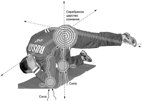 Своды Славянской гимнастики Своды Славянской гимнастики