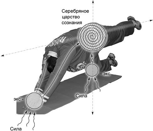 Своды Славянской гимнастики Своды Славянской гимнастики