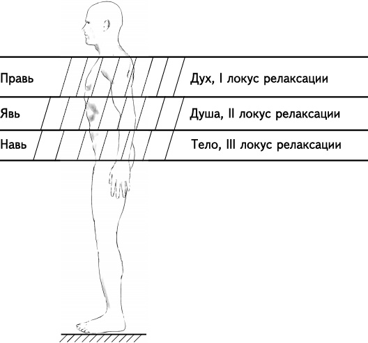 Своды Славянской гимнастики Своды Славянской гимнастики