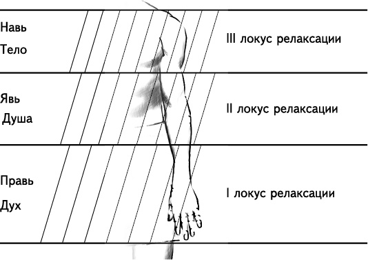 Своды Славянской гимнастики Своды Славянской гимнастики
