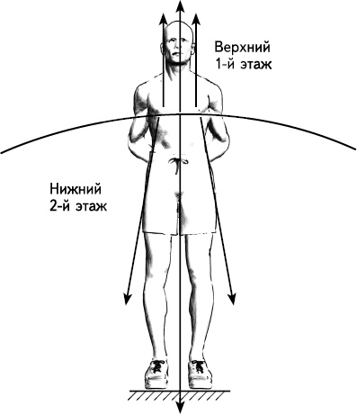 Своды Славянской гимнастики Своды Славянской гимнастики