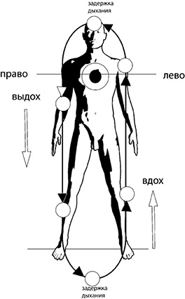 Своды Славянской гимнастики Своды Славянской гимнастики