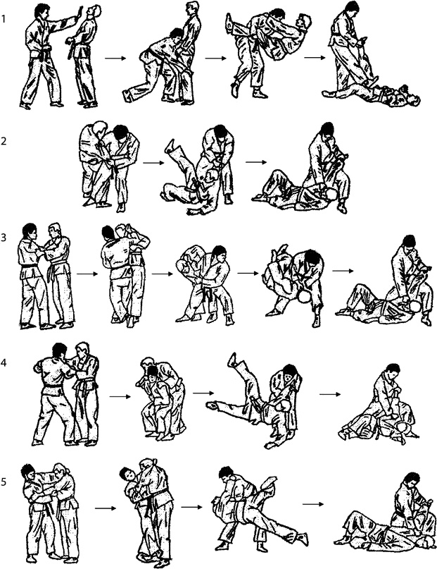 Энциклопедия каратэ. История и философия, теория и практика, педагогические принципы и методики обучения Энциклопедия каратэ. История и философия, теория и практика, педагогические принципы и методики обучения