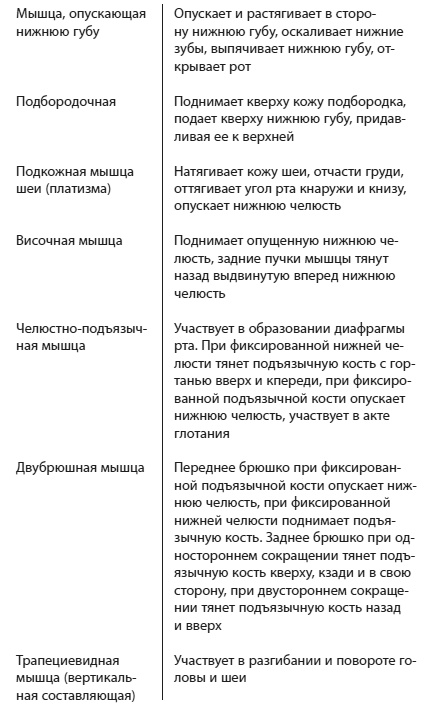 Эколифтинг лица: как выглядеть на 10 лет моложе Эколифтинг лица: как выглядеть на 10 лет моложе
