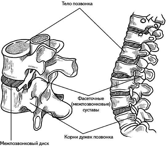 Жизнь без боли в спине. Лечение сколиоза, остеопороза, остеохондроза, межпозвонковой грыжи без операции Жизнь без боли в спине. Лечение сколиоза, остеопороза, остеохондроза, межпозвонковой грыжи без операции