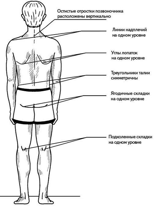Жизнь без боли в спине. Лечение сколиоза, остеопороза, остеохондроза, межпозвонковой грыжи без операции Жизнь без боли в спине. Лечение сколиоза, остеопороза, остеохондроза, межпозвонковой грыжи без операции
