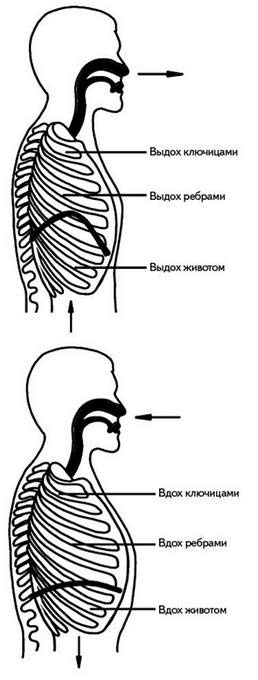 Жизнь без боли в спине. Лечение сколиоза, остеопороза, остеохондроза, межпозвонковой грыжи без операции Жизнь без боли в спине. Лечение сколиоза, остеопороза, остеохондроза, межпозвонковой грыжи без операции