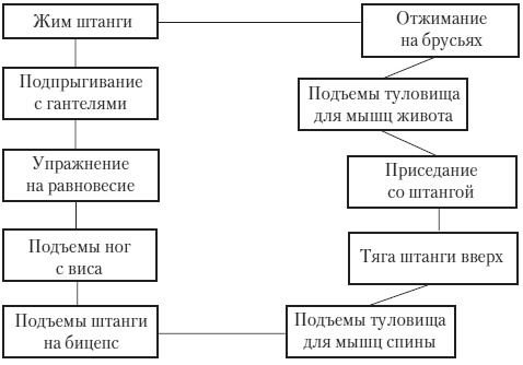 Силовой тренинг. Как нарастить силу, занимаясь без тренера Силовой тренинг. Как нарастить силу, занимаясь без тренера
