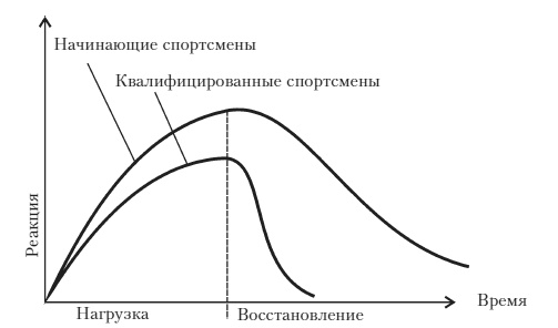 Силовой тренинг. Как нарастить силу, занимаясь без тренера Силовой тренинг. Как нарастить силу, занимаясь без тренера