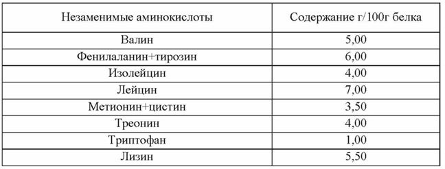 Основы рационального питания Основы рационального питания