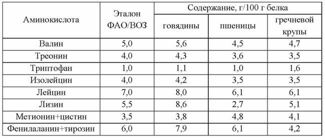 Основы рационального питания Основы рационального питания